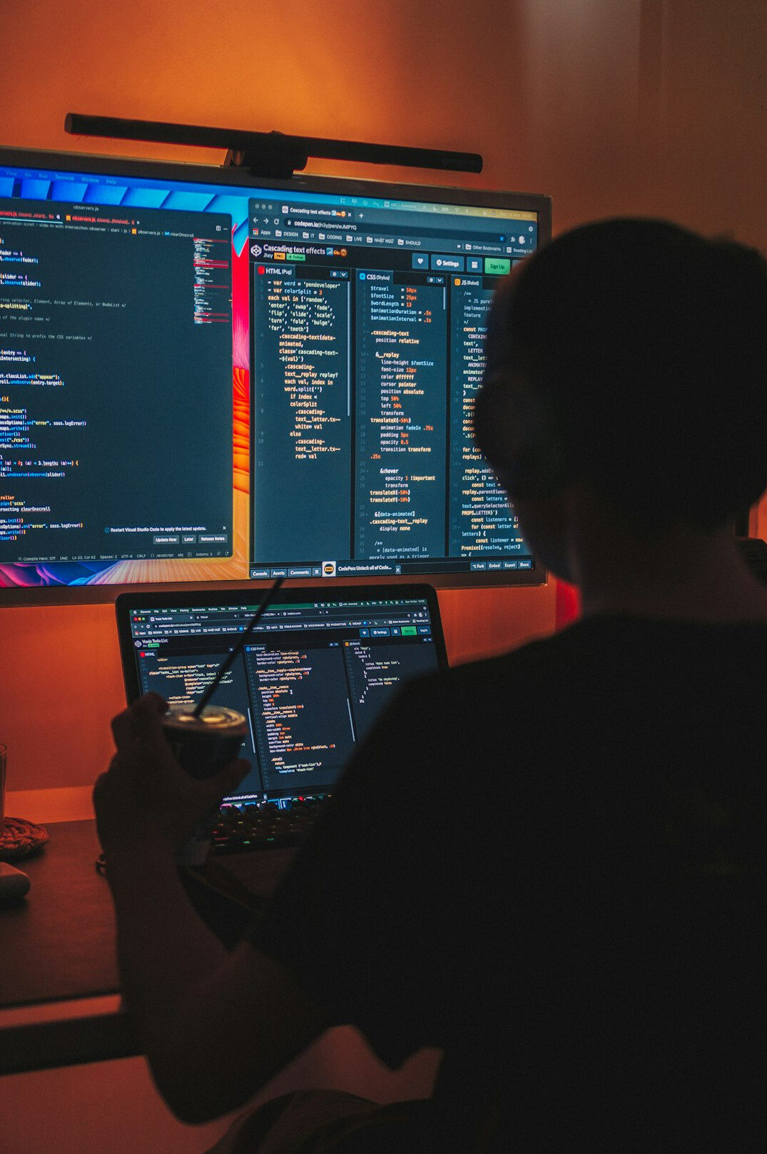 programmer learning new skills